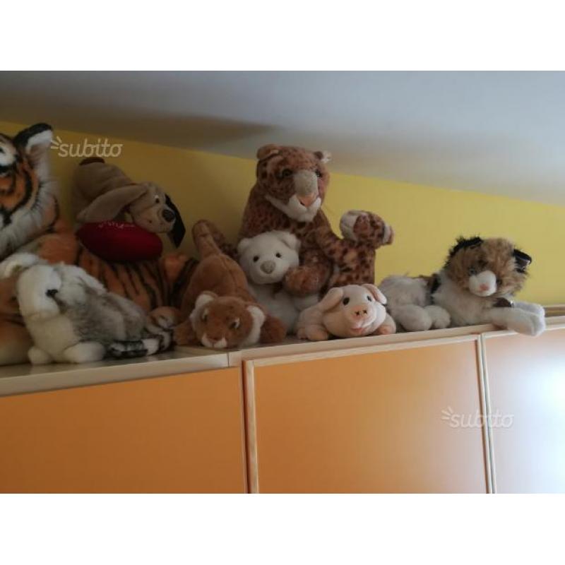 Peluche pezzi 10 varie dimensioni