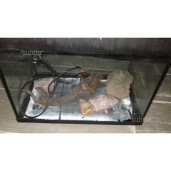 Acquario completo