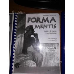 Switch on, Leonardo, forma mentis