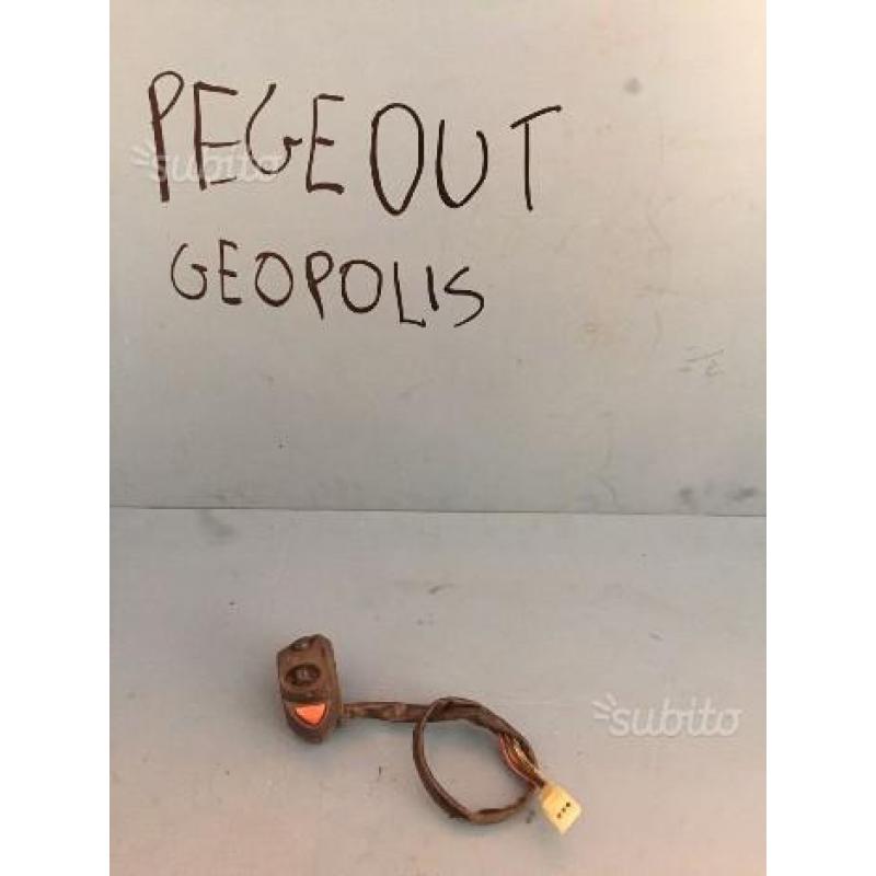 Commutatore sinistro geopolis
