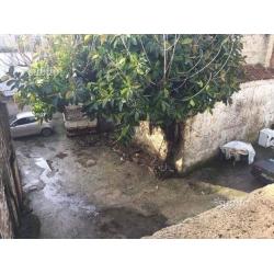 Rif.ea soluzione indipendente