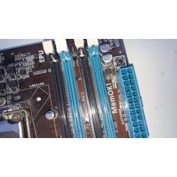 Scheda pc asus p7h55