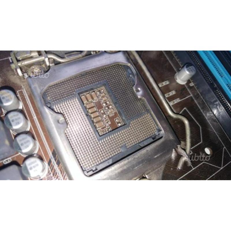 Scheda pc asus p7h55