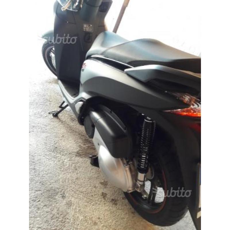 Sh 300 sport fine 2017