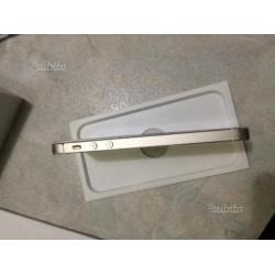IPhone 5s