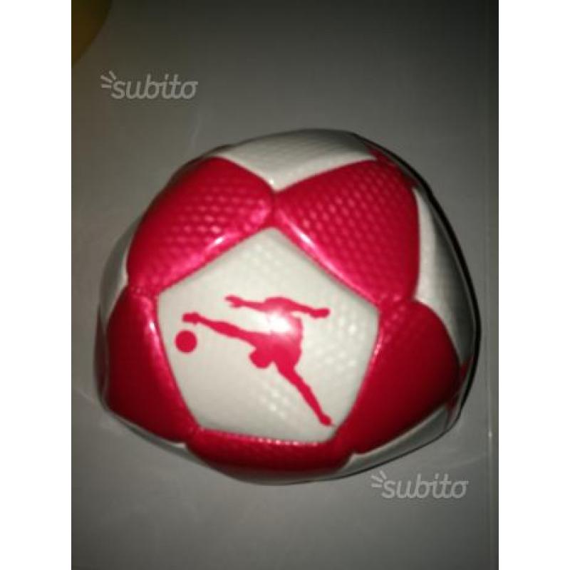 Pallone PANINI