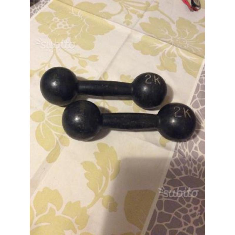 Coppia manubri da 2 kg d'epoca