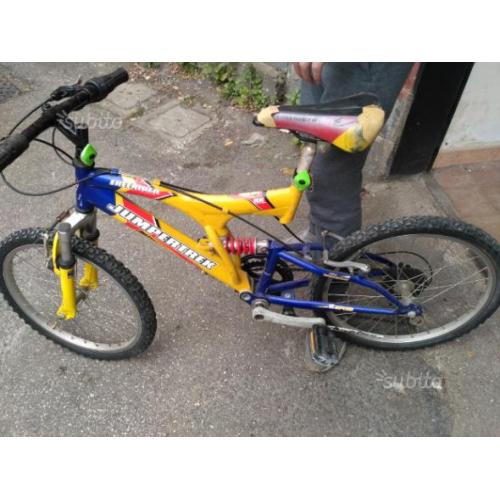 Bici diametro 20