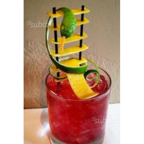 Barman-barista esperto
