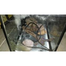 Acquario completo