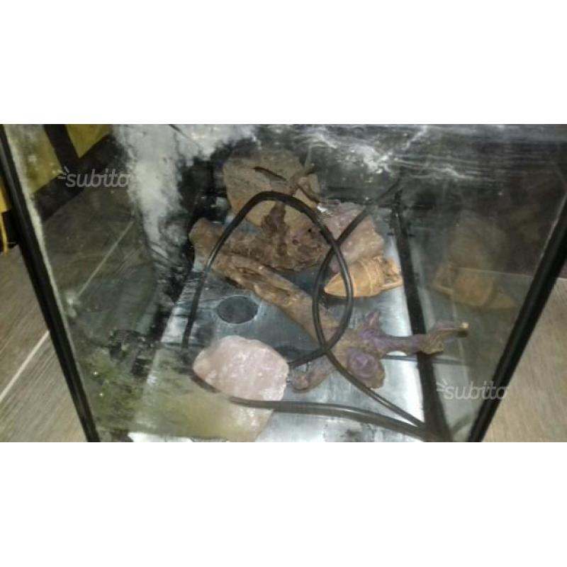 Acquario completo
