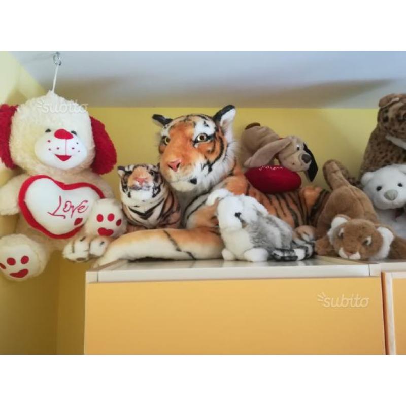 Peluche pezzi 10 varie dimensioni