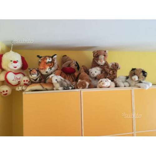 Peluche pezzi 10 varie dimensioni