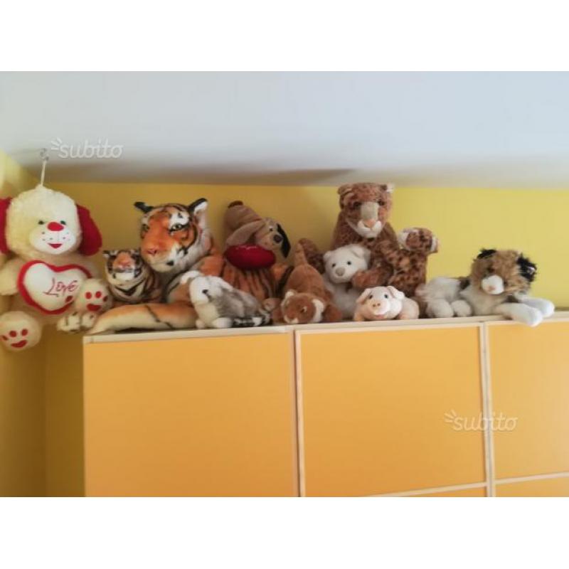 Peluche pezzi 10 varie dimensioni